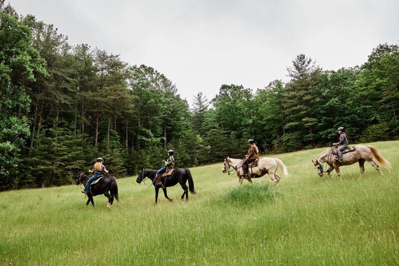 Primland Resort, Auberge Resorts Collection Meadows of Dan 외부 사진