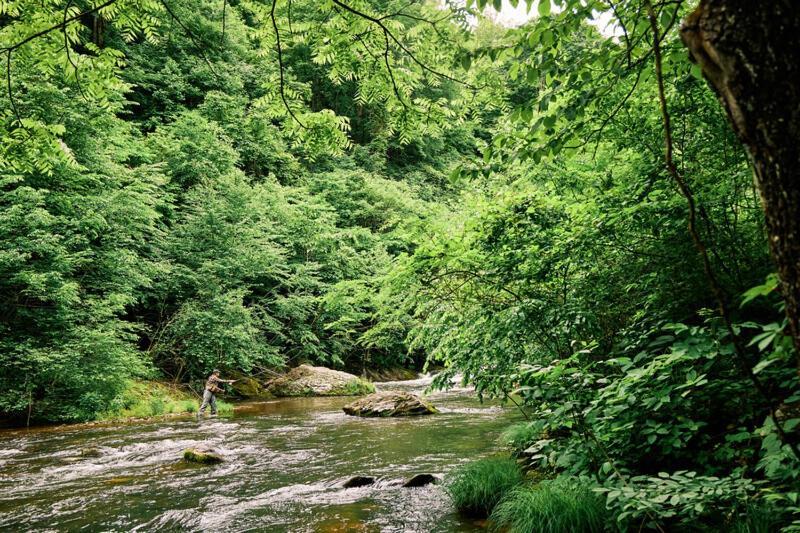 Primland Resort, Auberge Resorts Collection Meadows of Dan 외부 사진