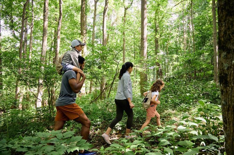 Primland Resort, Auberge Resorts Collection Meadows of Dan 외부 사진